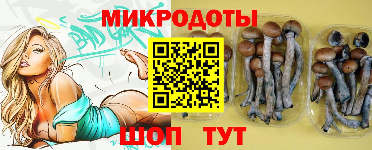 Галлюциногенные грибы мухоморы Тайшет