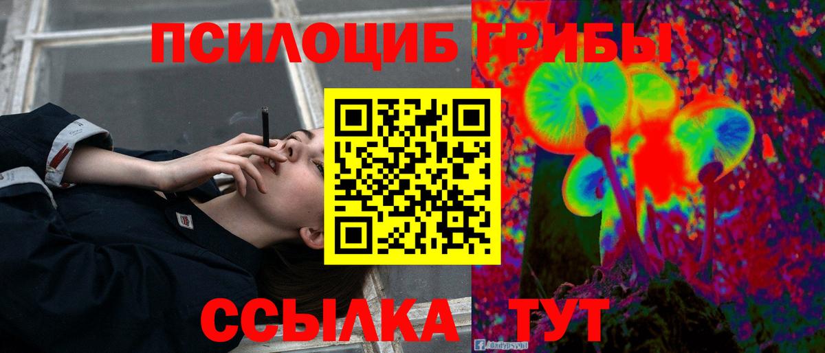 Псилоцибиновые грибы Magic Shrooms  Вход с VPN  Тайшет  Псилоцибиновые грибы ЛСД 